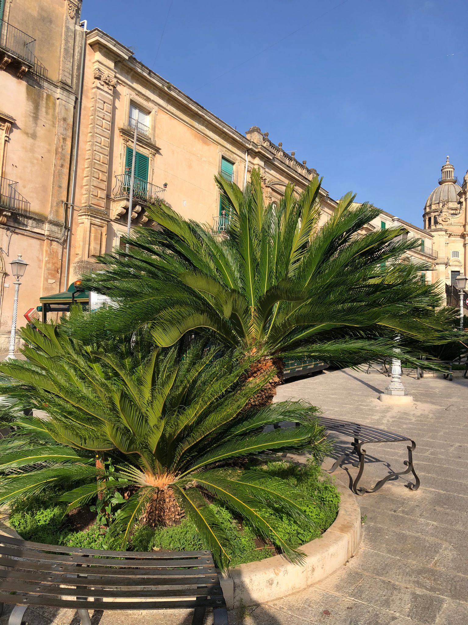 Piazza Duomo