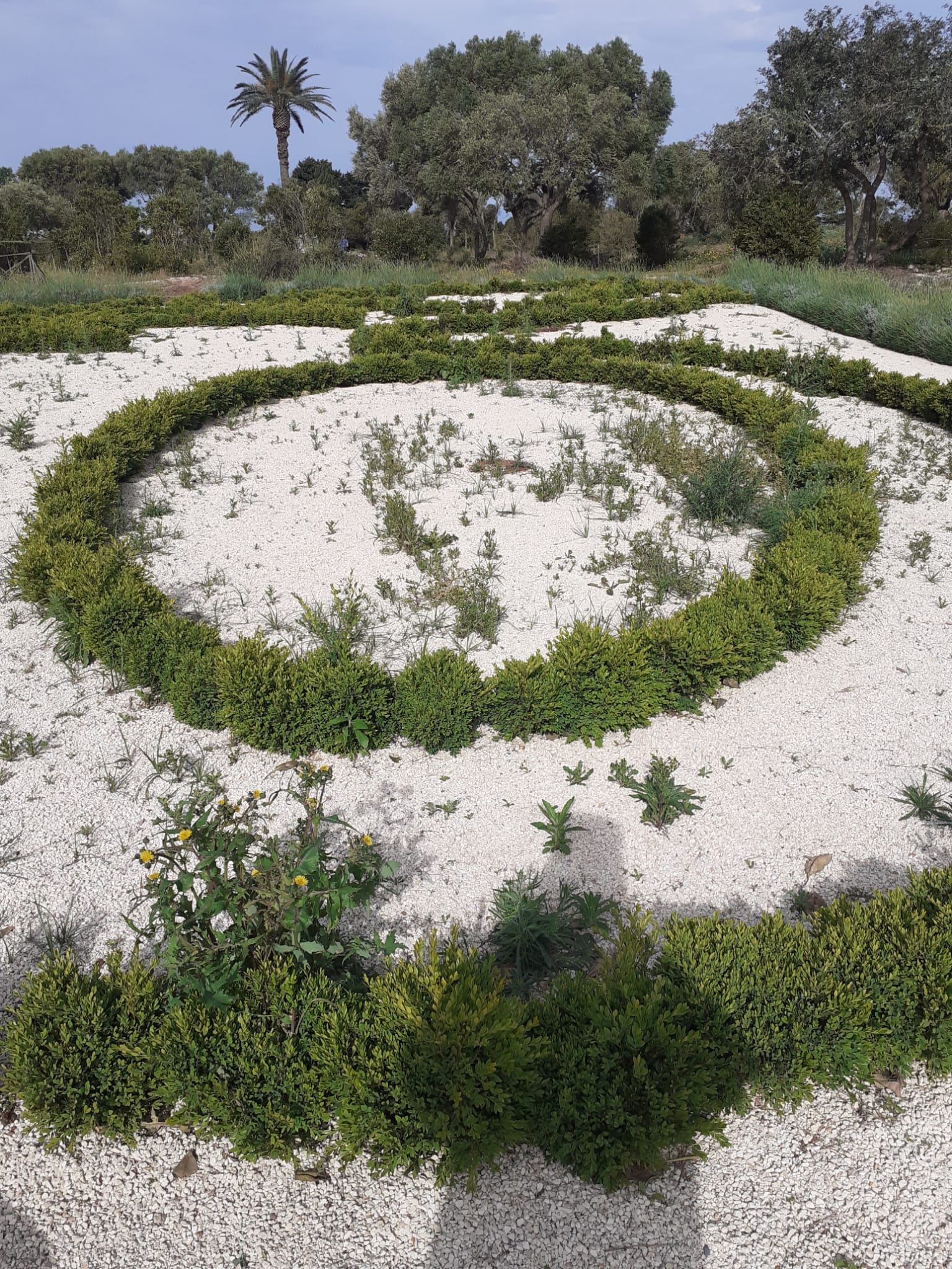 Scerbatura parterre