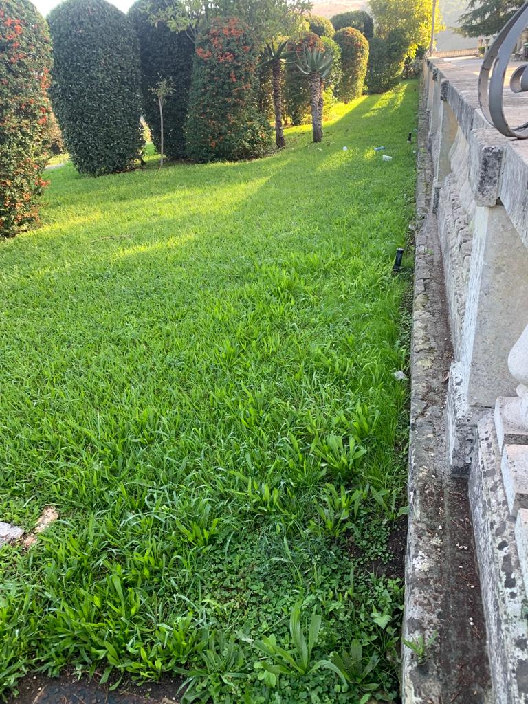 Taglio del prato pulizia delle aiule al giardino ibleo