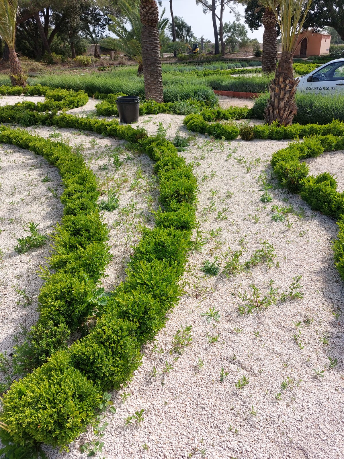 Scerbatura manuale nel parterre