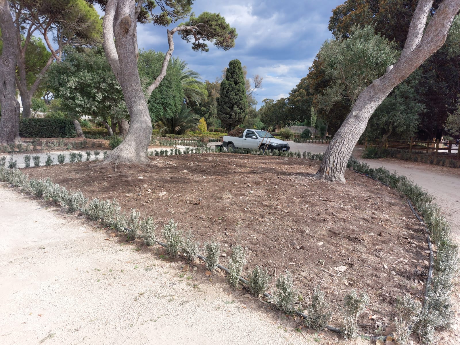 Castello di donnafugata Scerbatura e pulizia aiuole zona ingresso parco