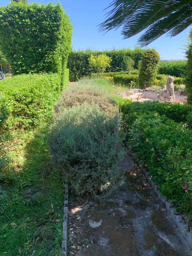 Pulizia delle villetta del Nettuno e raccolta delle foglie al giardino ibleo