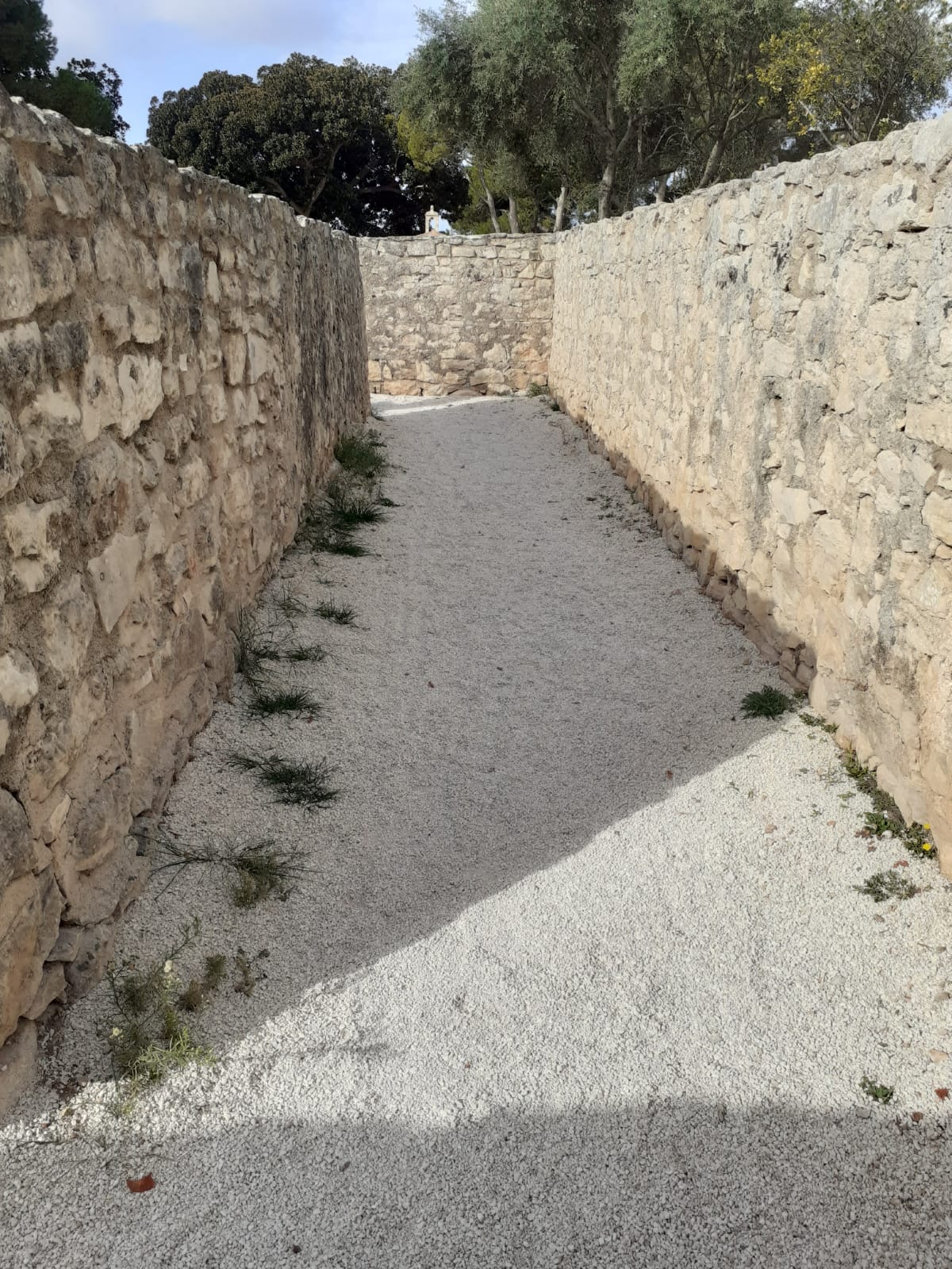 Continua la scerbatura del labirinto del parco donnafugata