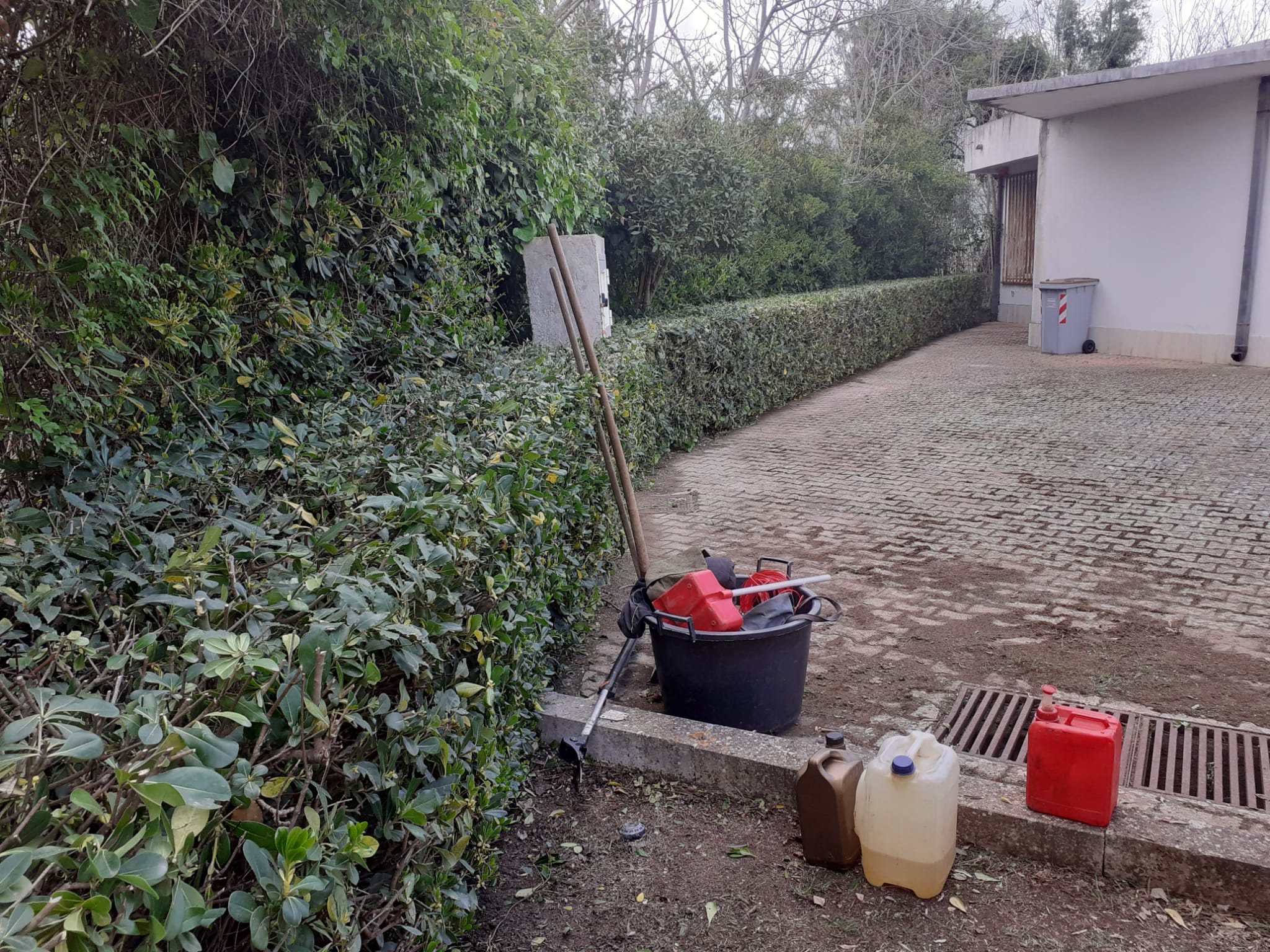 Scuola di via o.m.corbino  sistemazione siepi scerbatura e taglio prati (RG)