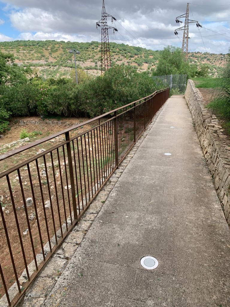 Taglio del prato scerbatura e taglio dei rami ingresso laterale del giardino ibleo e raccolta degli aghi