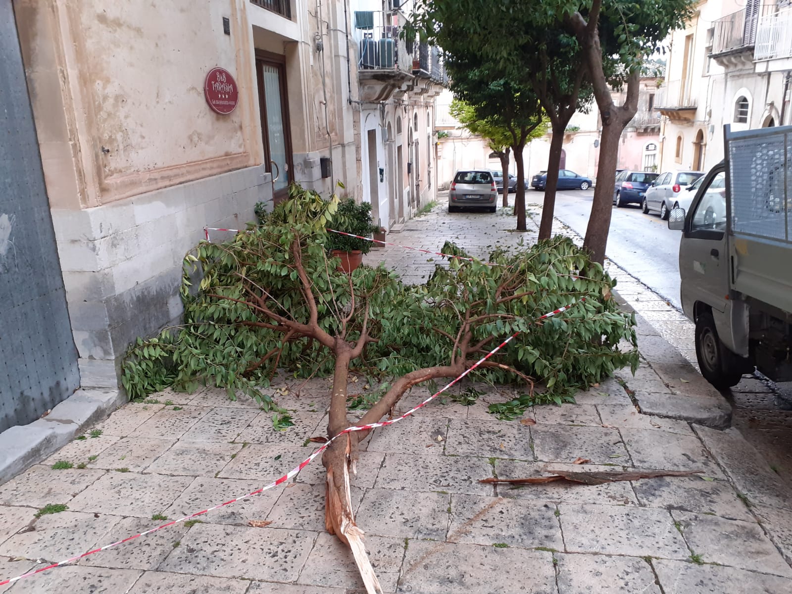 Rimozione albero spezzato Corso Vittorio Veneto