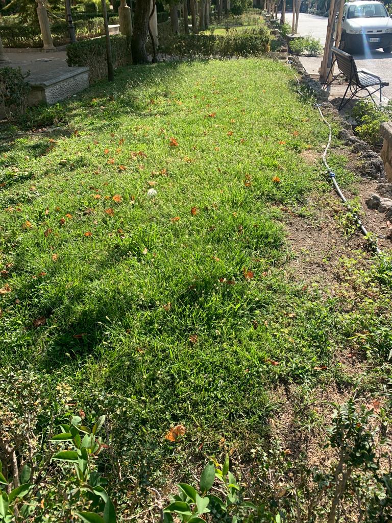 Taglio del prato al Giardino Ibleo