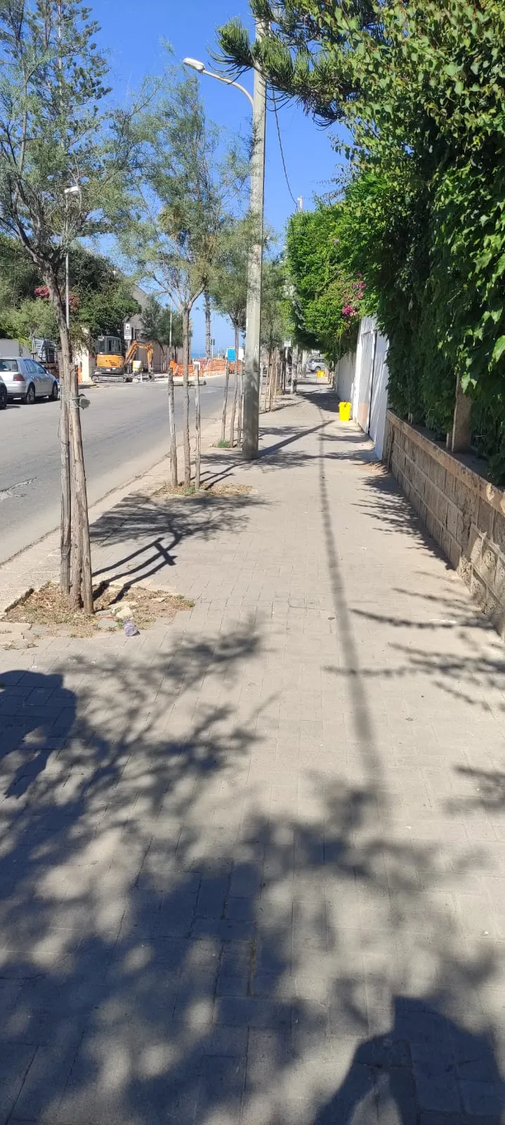 Spollonatura alberi e sistemazione impalcatura via B Brin Marina di Ragusa