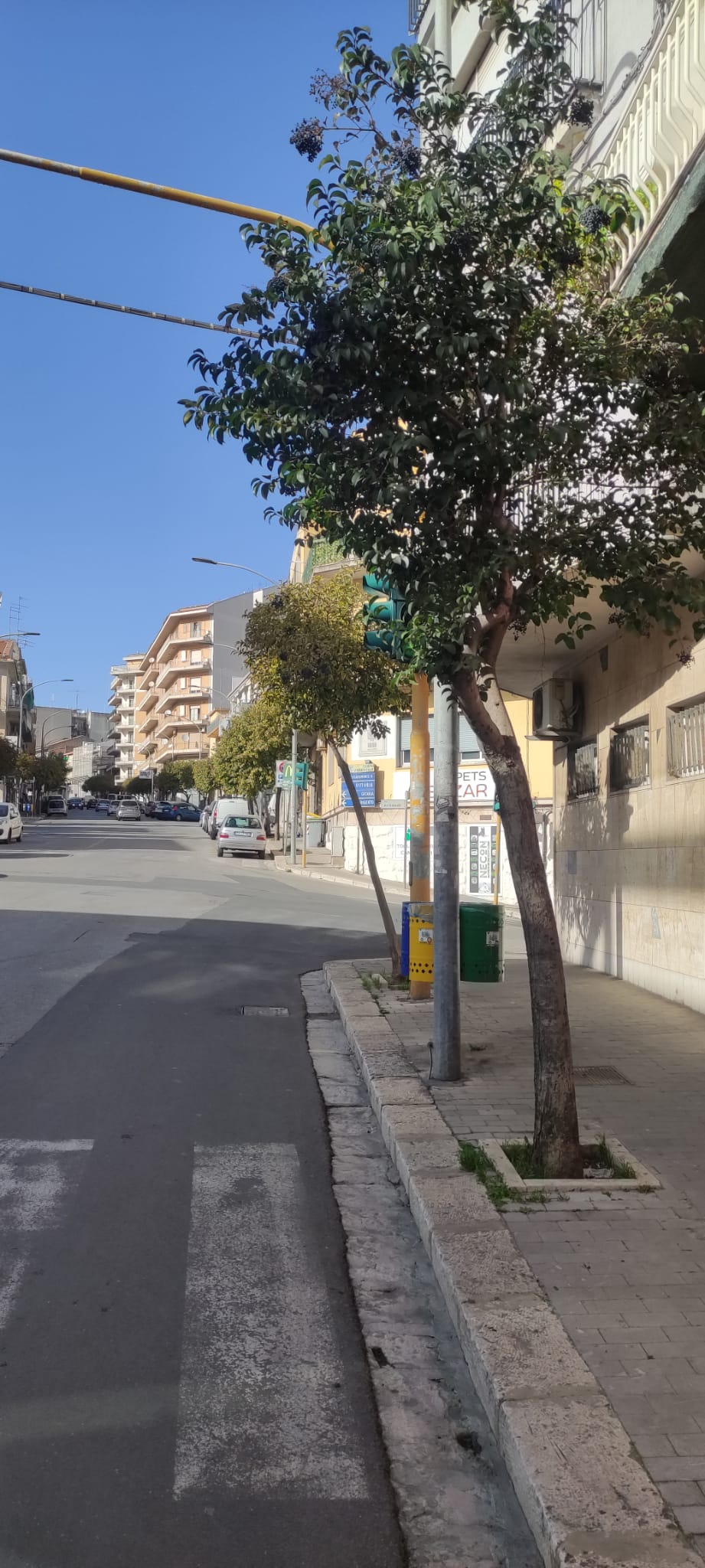 Intervento in via Archimede - Ragusa