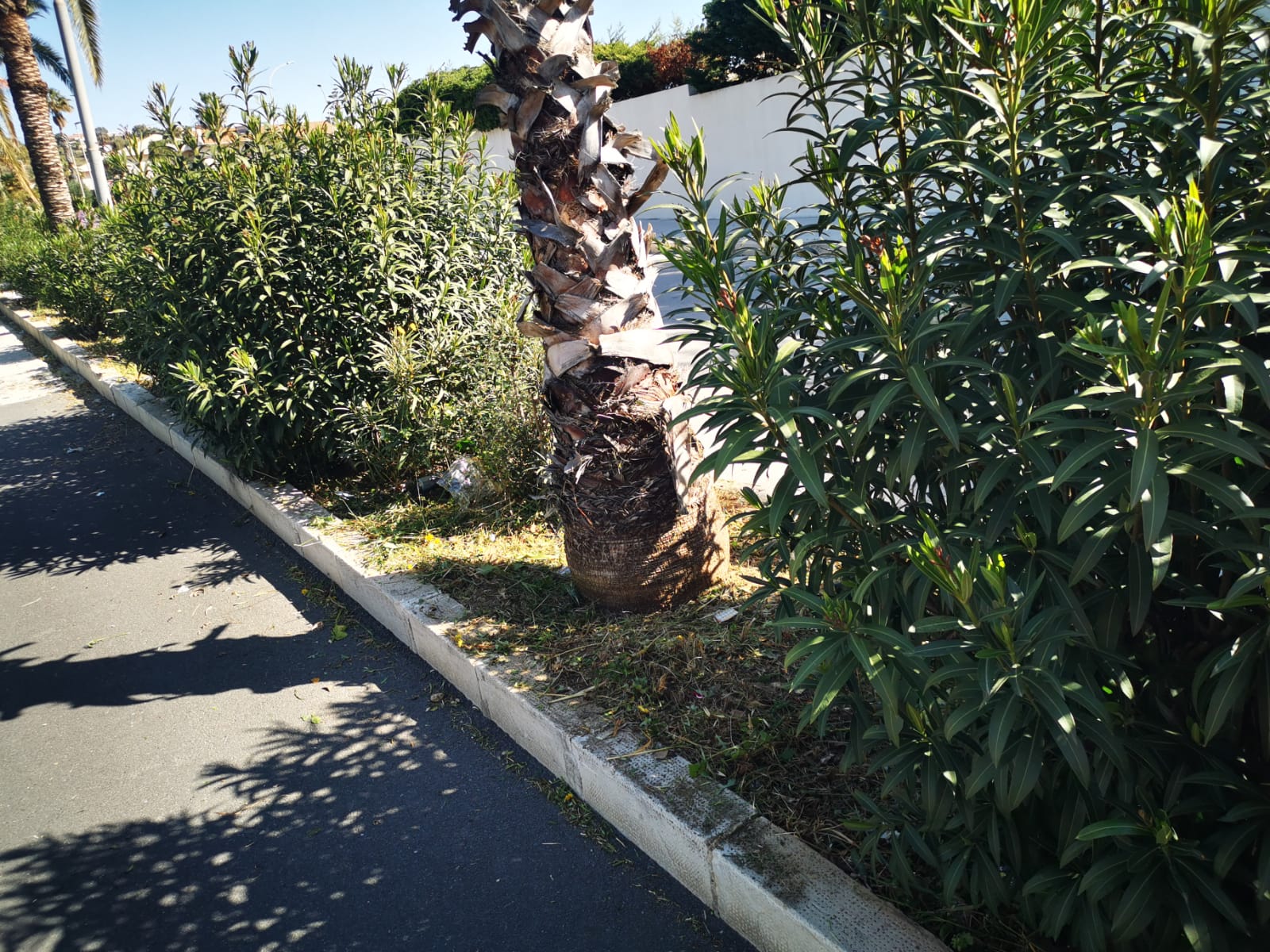 Via Caboto, Marina di Ragusa