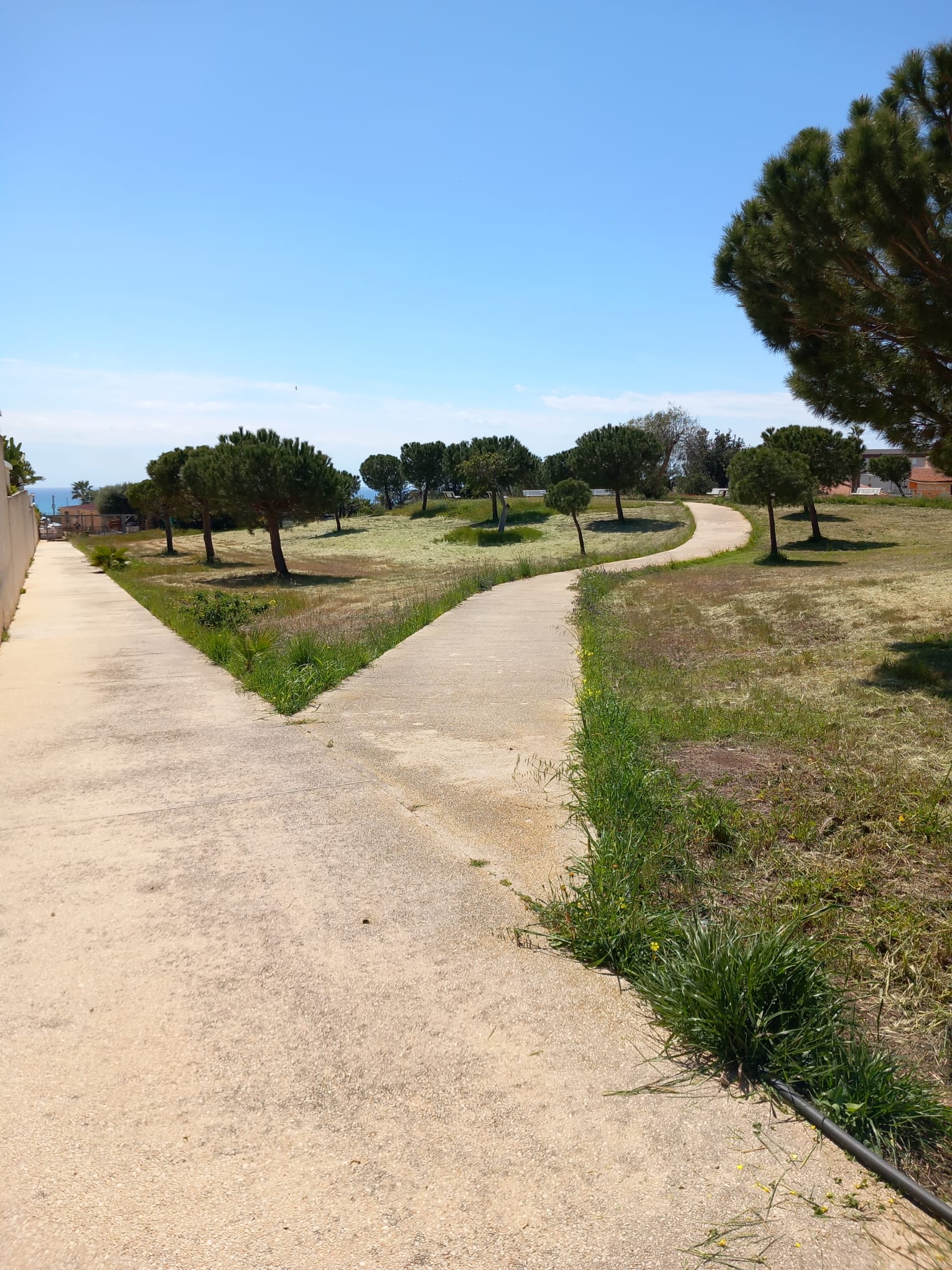 Area difronte vivai Bellina, Marina di Ragusa