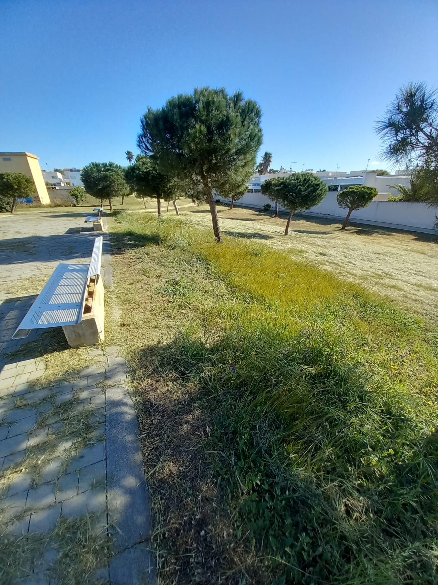 Area difronte vivai Bellina, Marina di Ragusa