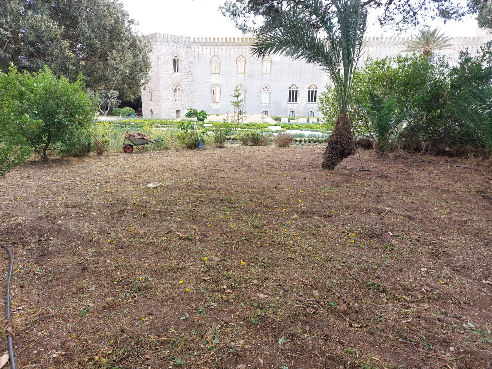 Scerbatura e pulizia aiuole e vialetti - Castello di Donnafugata