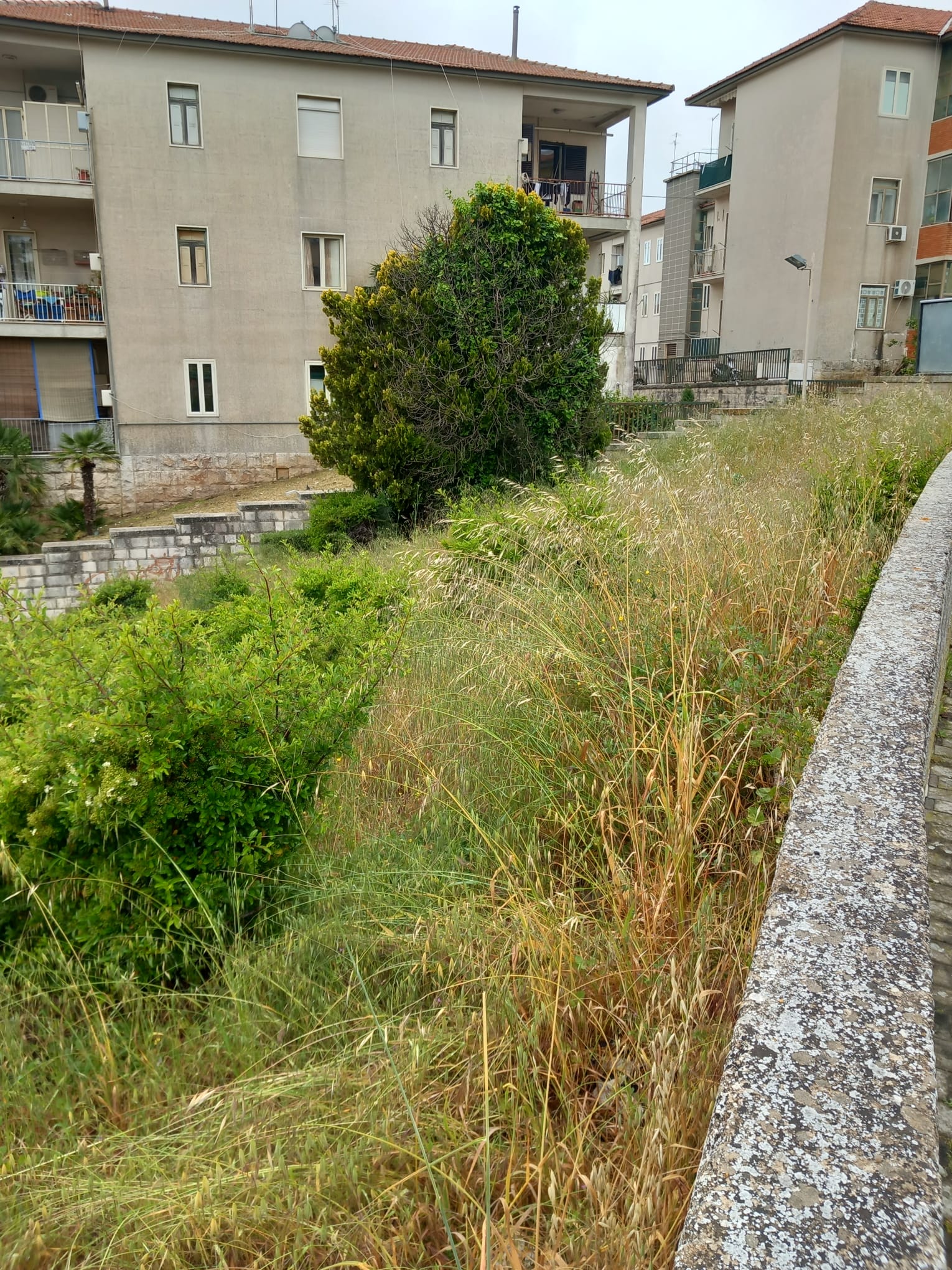 Lavori in aree zona Salesiani