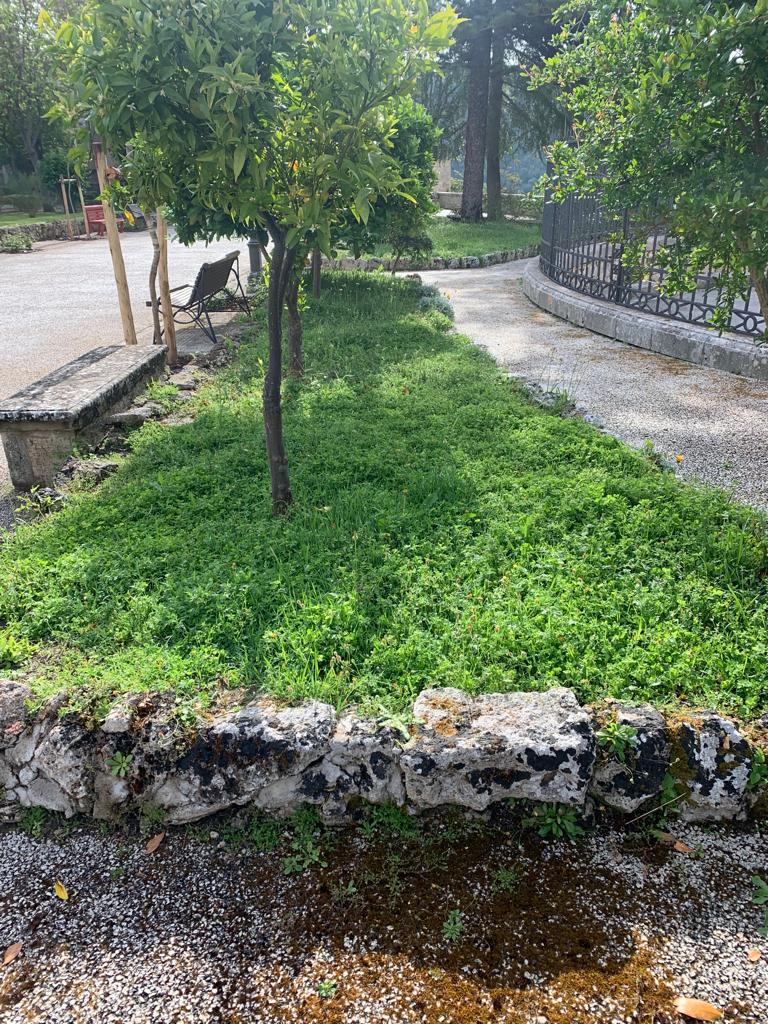 Taglio del prato - Giardino Ibleo