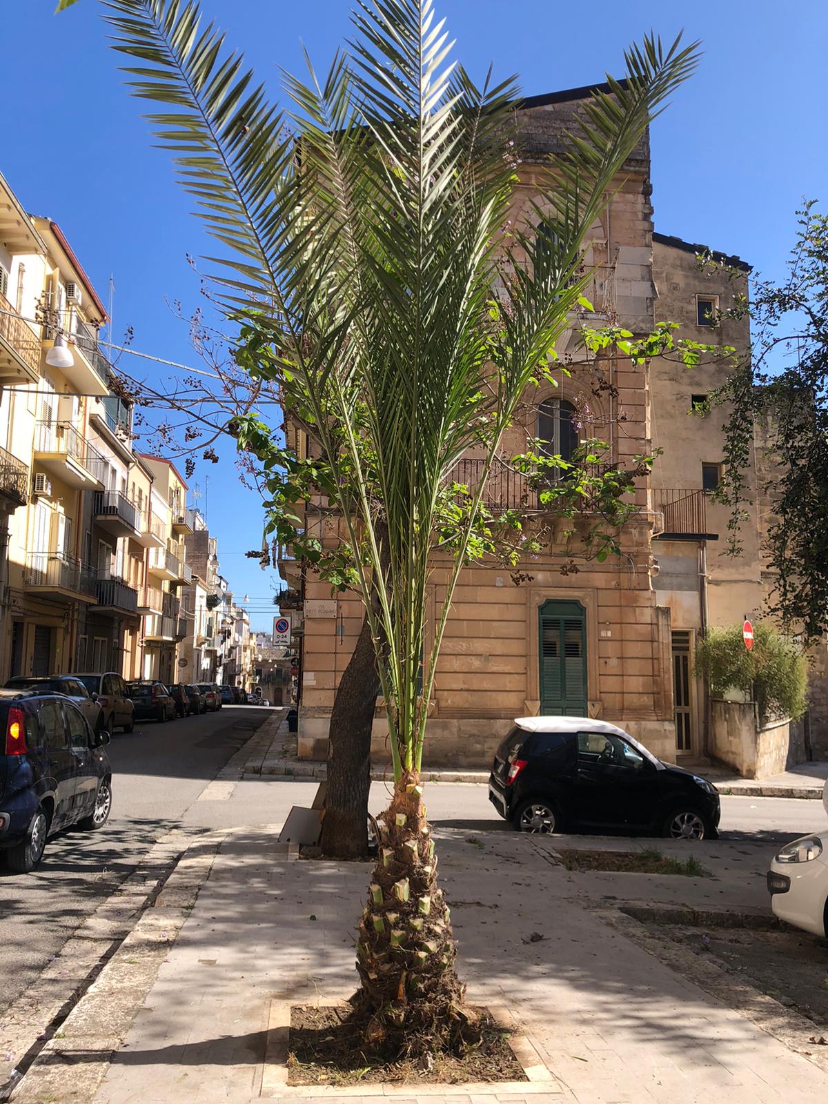 Lavori in Via Trento