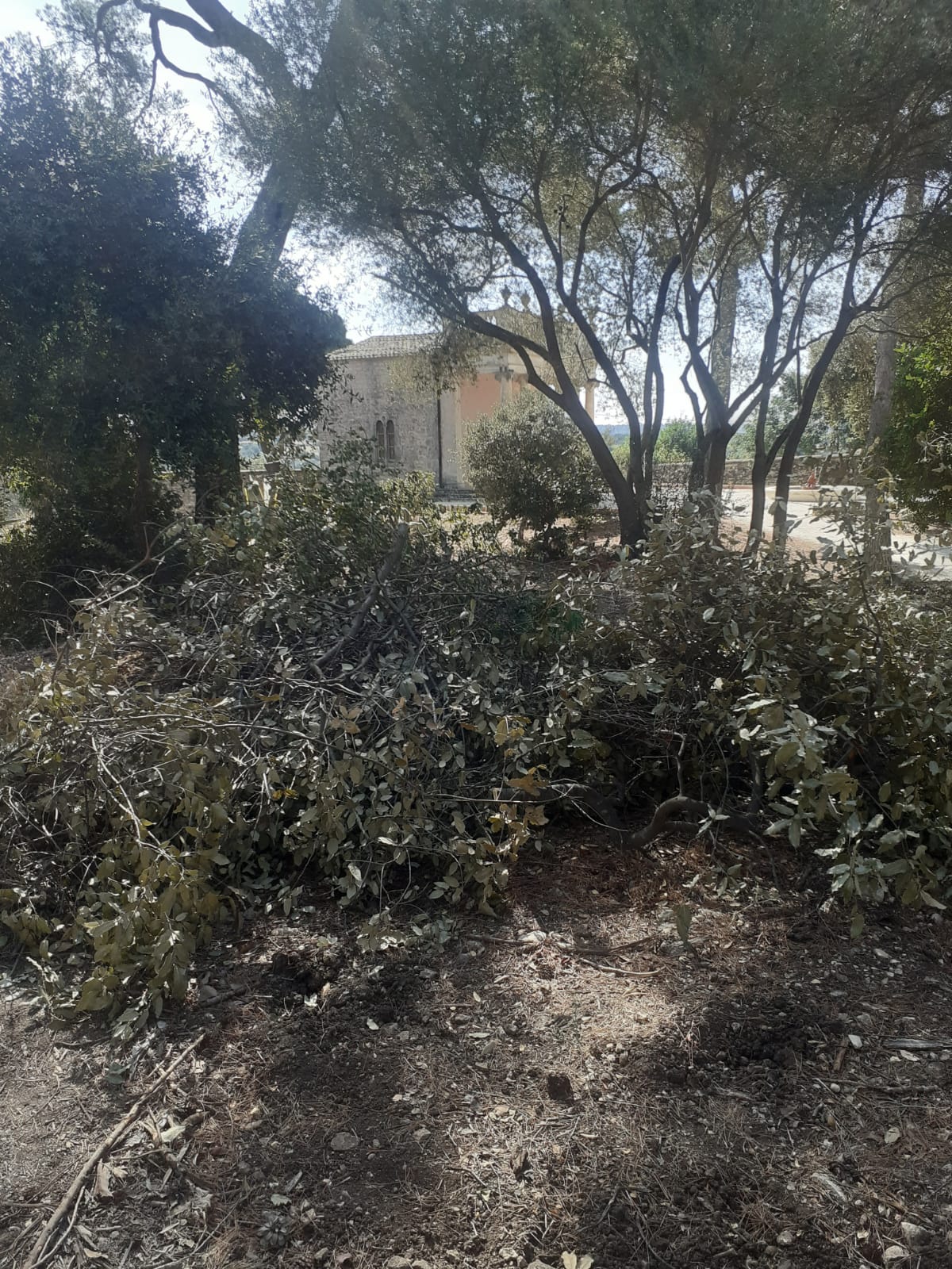 Parco di Donnafugata