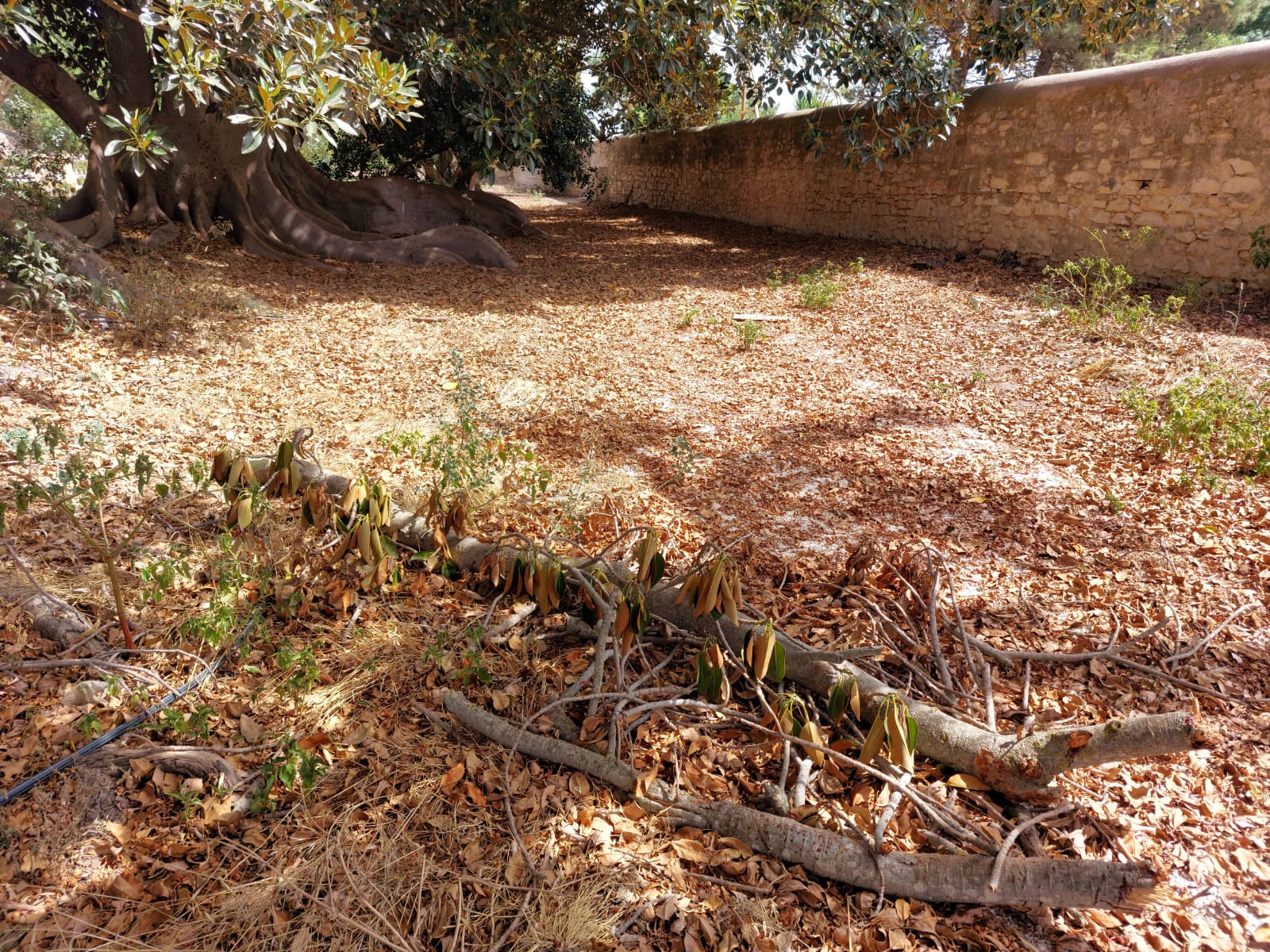 Parco Donnafugata