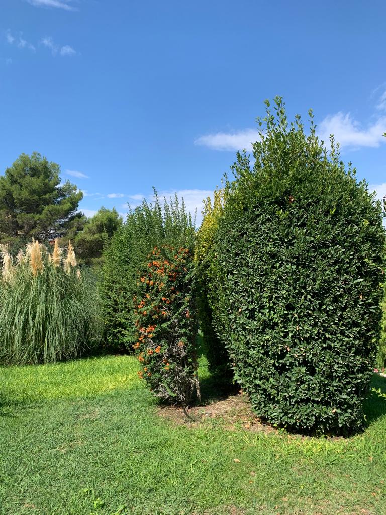 Giardino Ibleo