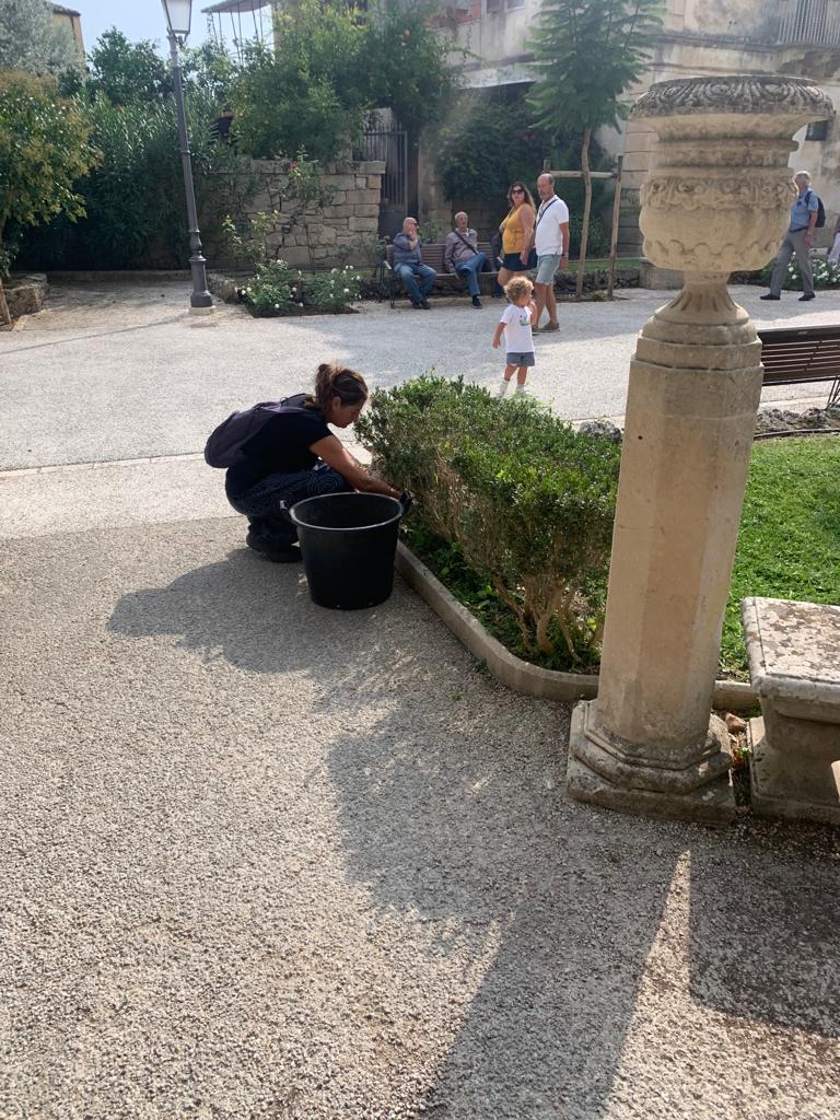 Taglio dei rami pendenti dell’albero di gelso taglio del prato pulizia delle aiule e delle siepi