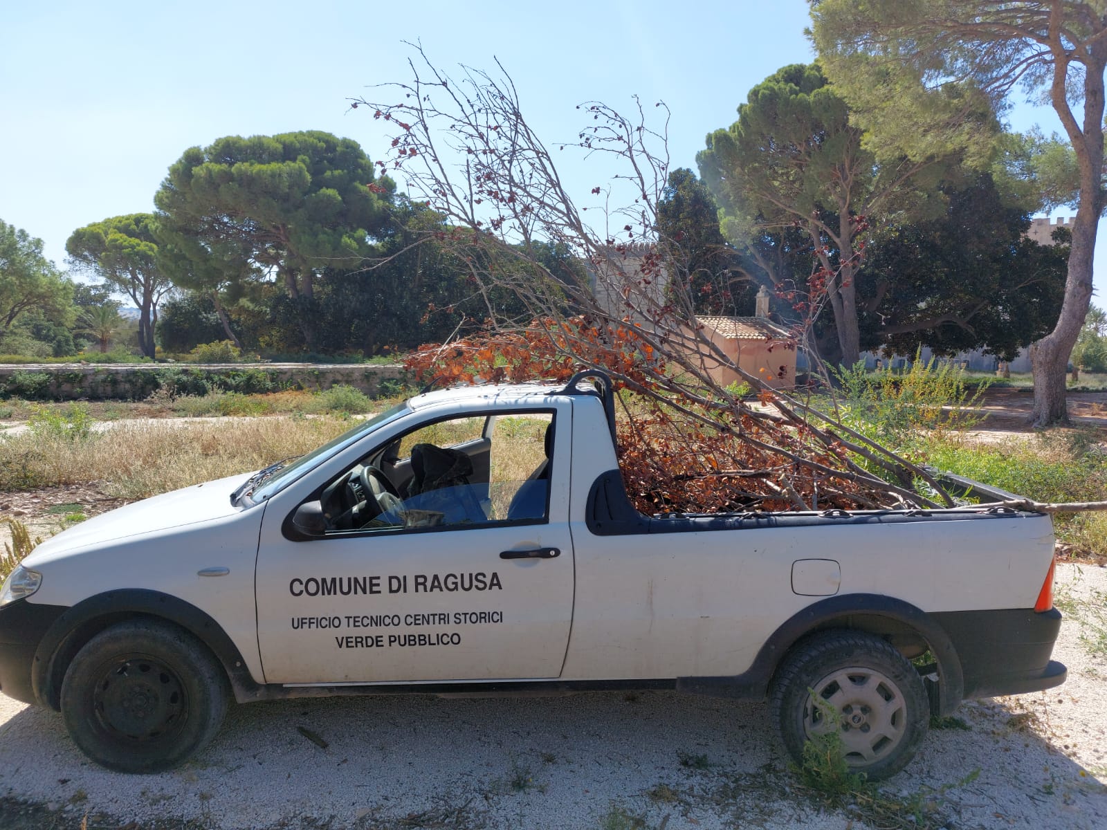 Giro di controllo del parco e rimozione rami caduti e potature varie