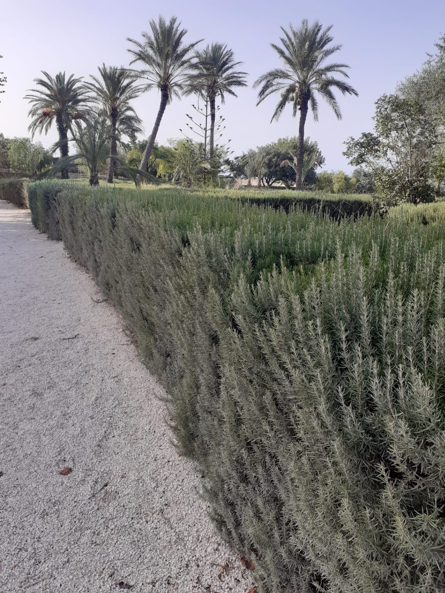 Parco Donnafugata