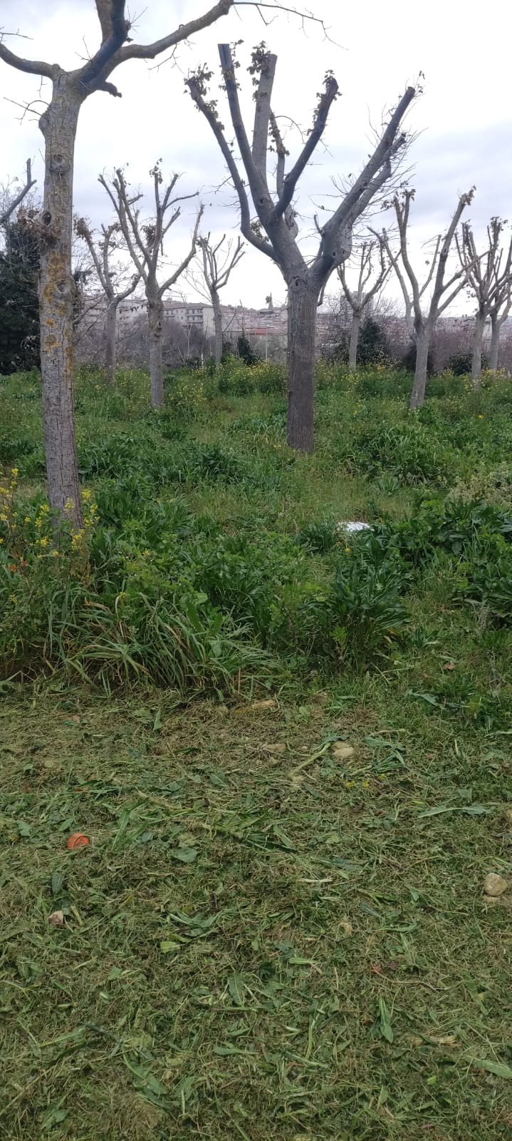 Stadio Colajanni -Ragusa