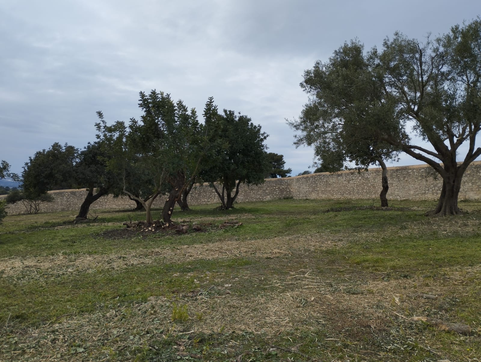 Lavori Castello di Donnafugata