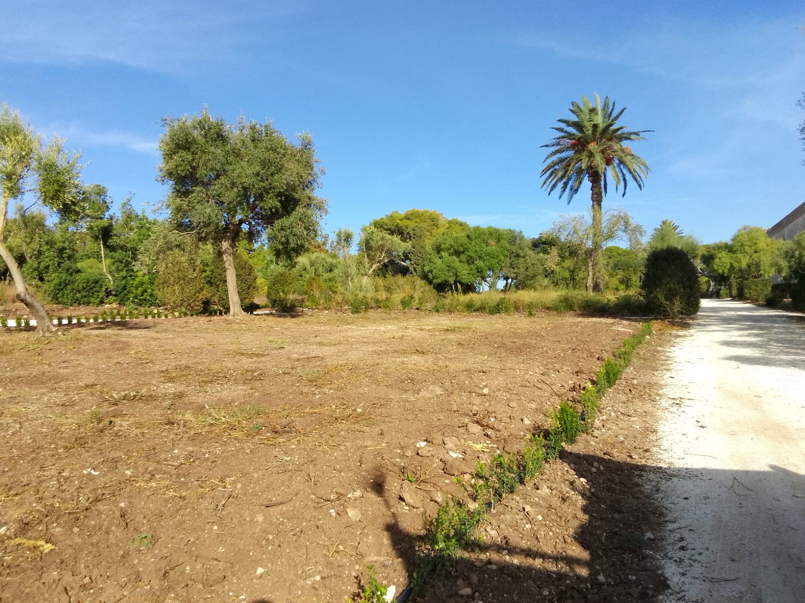 Castello Donnafugata